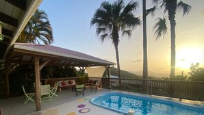 A covered outdoor area with a pool, seating, and palm trees.