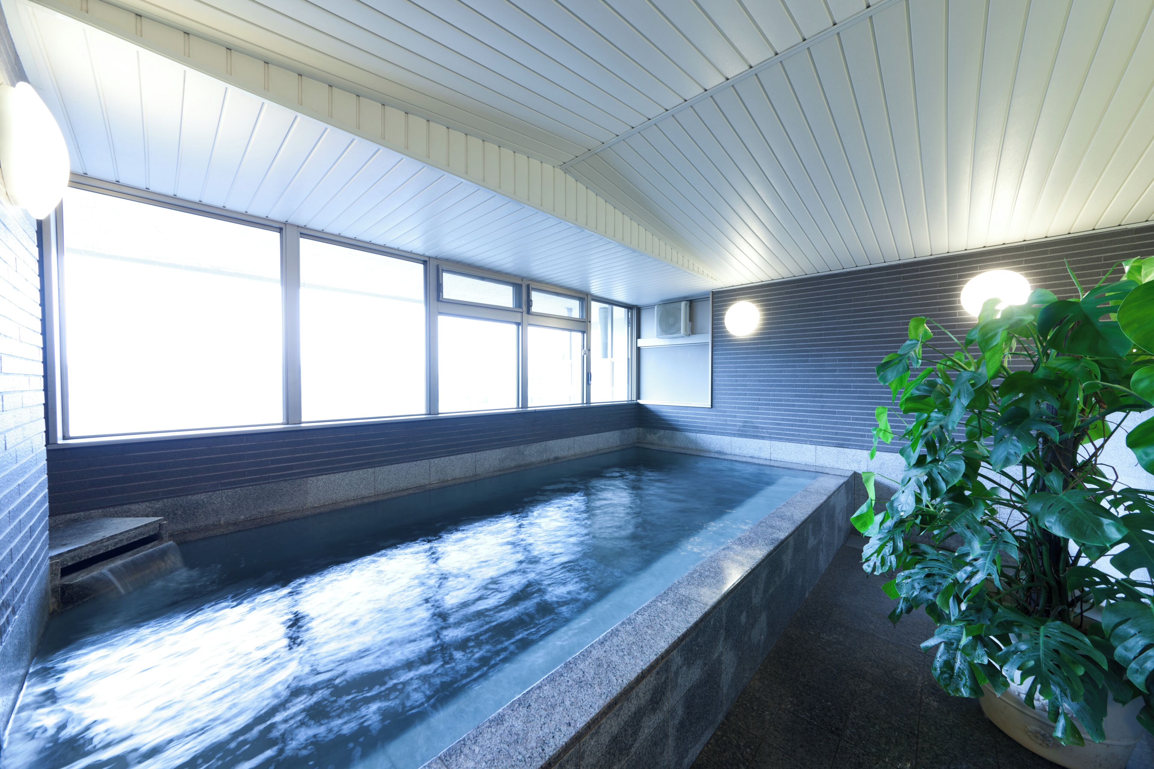 Una piscina interior con ventanas amplias, pared de ladrillo y planta en maceta.