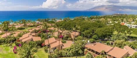 A resort with multiple bungalow-style buildings, lush greenery, and a view of the ocean.