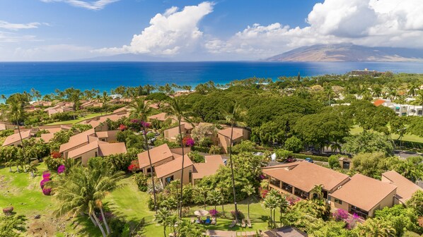 A resort with multiple bungalow-style buildings, lush greenery, and a view of the ocean.