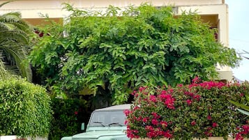 Enceinte de lâhĂ©bergement