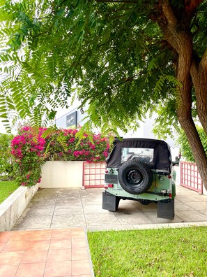 Property grounds - Casa da Palmeira Porto Santo (Vila Baleira)