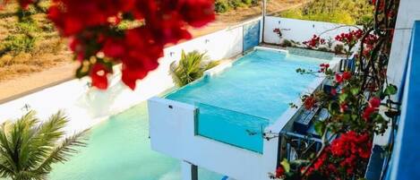 A rooftop pool with clear blue water, surrounded by greenery and red flowers.