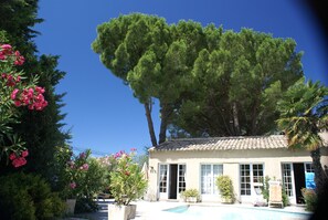 Pool - Air-conditioned gite with heated pool in Saint Rémy de Provence, facing the Alpilles mountains (Saint Remy De Provence)