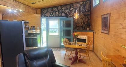 Charming 1-bedroom house with heat and WiFi in delightful Creede