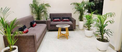 Un área de estar acogedora con un sofá marrón, dos almohadones a juego, un taburete de madera y varias plantas en macetas.