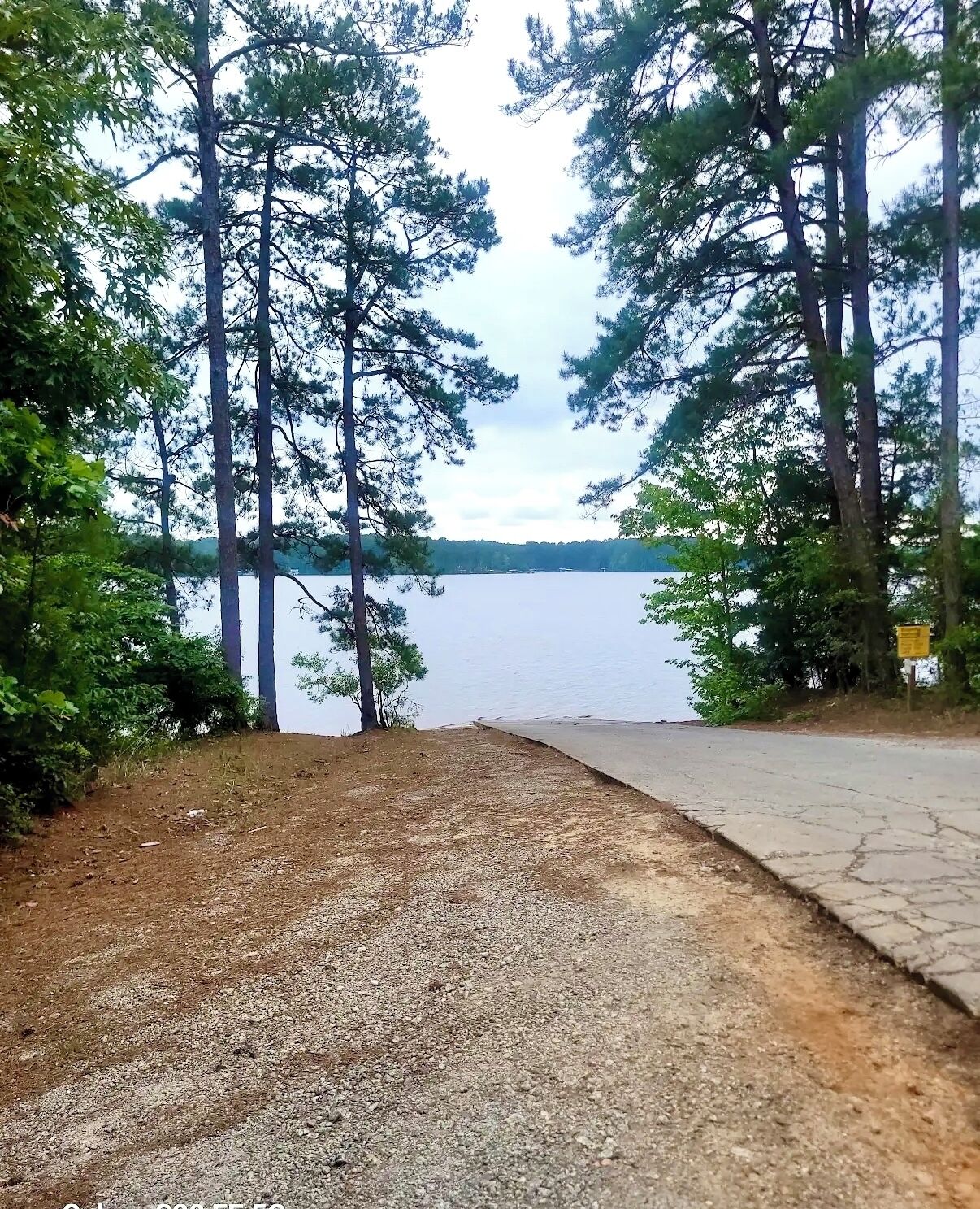 A gravel path leading to a lake with tall trees on either side.