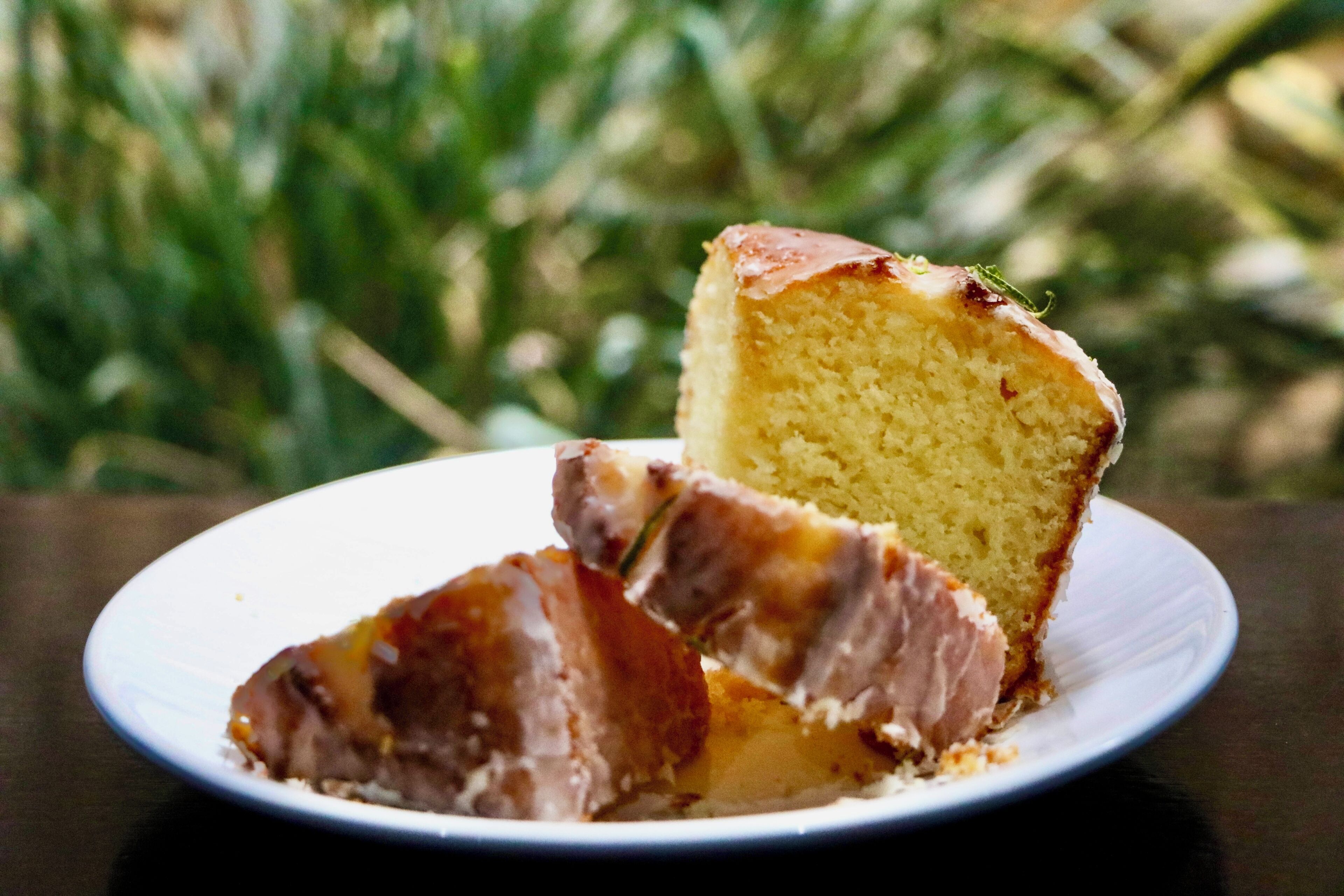 A slice of cake on a white plate with a blurred green background.