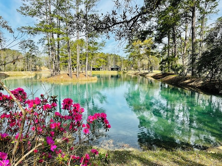 Property grounds. Egret Cottage Suite 3715-B
