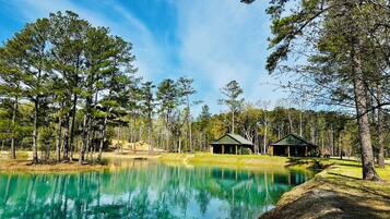 Una propiedad tranquila junto al lago con dos cabañas, rodeada de altos pinos y un cielo azul despejado.