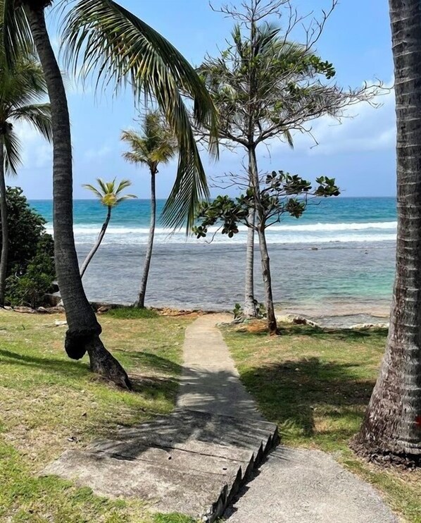 Strand