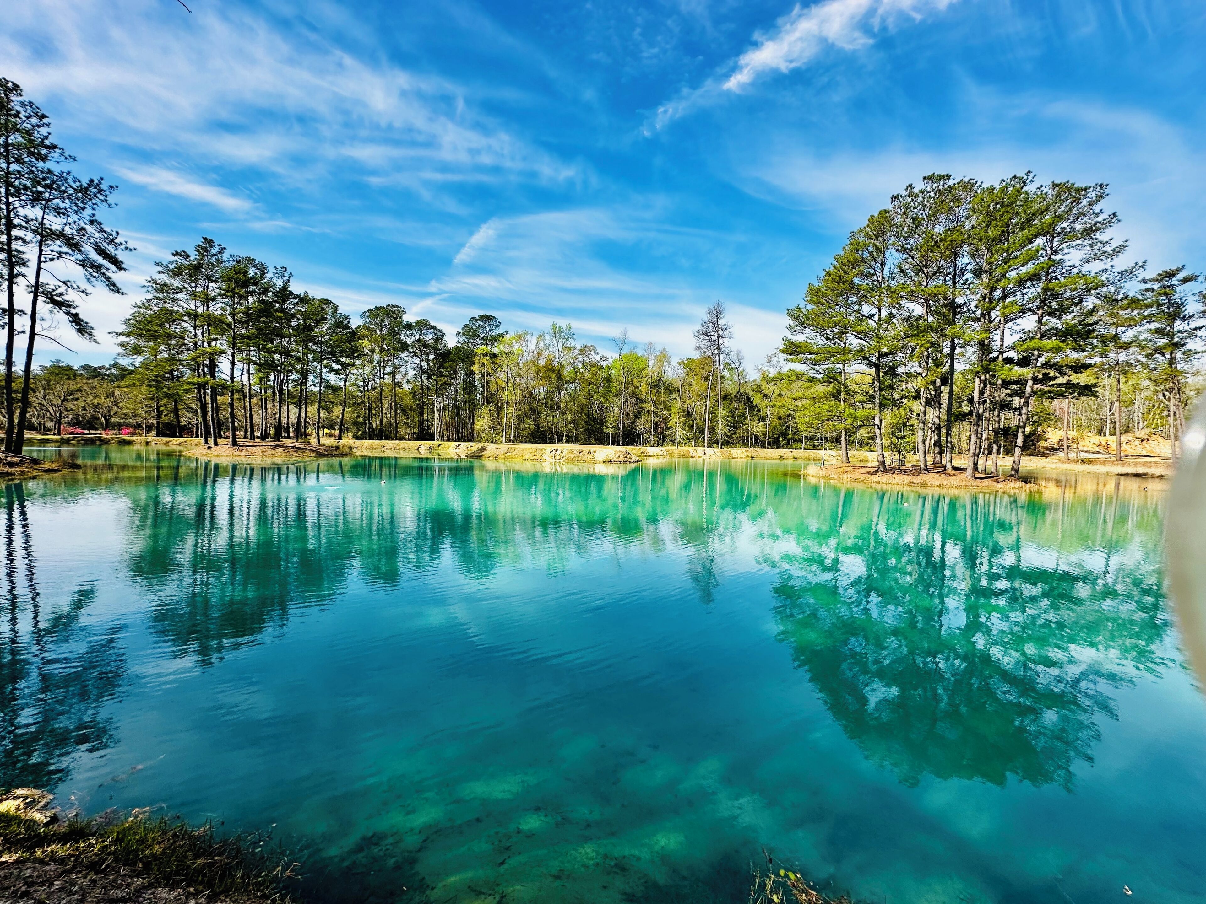 Un lago sereno rodeado de árboles y un cielo despejado.