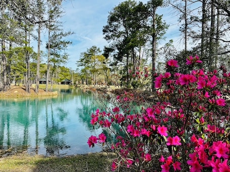 Property grounds. Ibis Cottage Suite 3717-B- part of Eden at Gracefield Event Venue