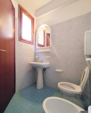 تجهيزات دش، مراحيض شطف