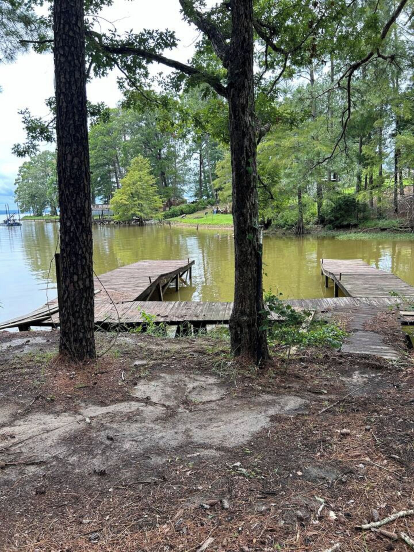 A natural setting with a wooden dock extending into a calm lake, surrounded by trees.