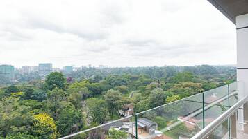 Un edificio alto con vistas a un paisaje urbano y zonas verdes.