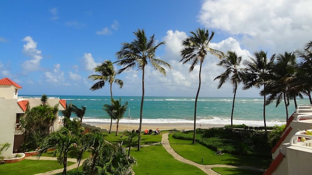 A resort with a view of the ocean, palm trees, and a pathway leading to the beach.
