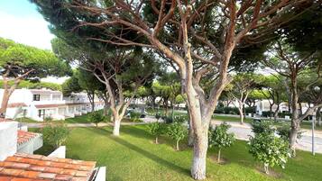 Studio | 1 bedroom, Internet