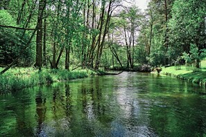 Jardines del alojamiento