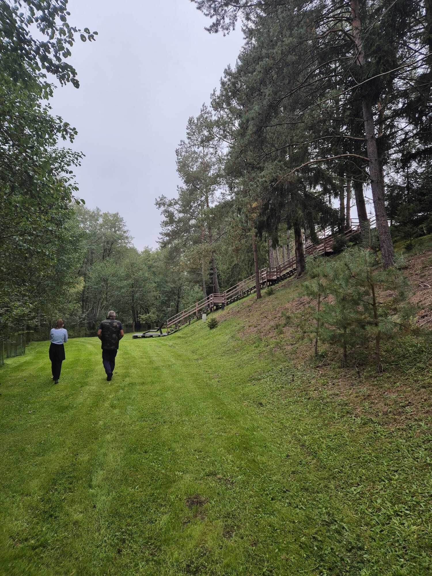 A grassy pathway leading to a wooden staircase surrounded by trees.