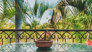 A glass table with a terracotta pot on a balcony with a wrought iron railing, surrounded by lush green foliage. - Casa Del Morro - Studio Oasis with heated pool (Sayulita)