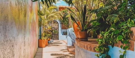 Àrea exterior de l'allotjament