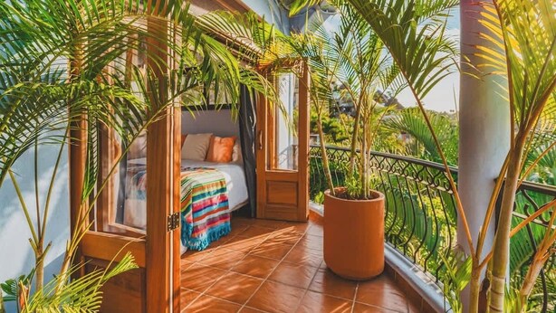 A cozy balcony with a bed, surrounded by lush tropical plants and a large potted tree.