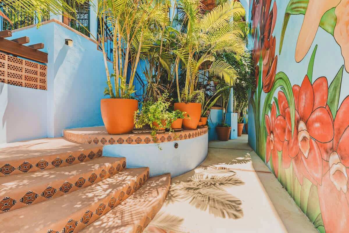 Terrain de l’hébergement 