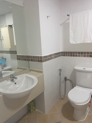 Asciugacapelli, asciugamani, sapone, carta igienica