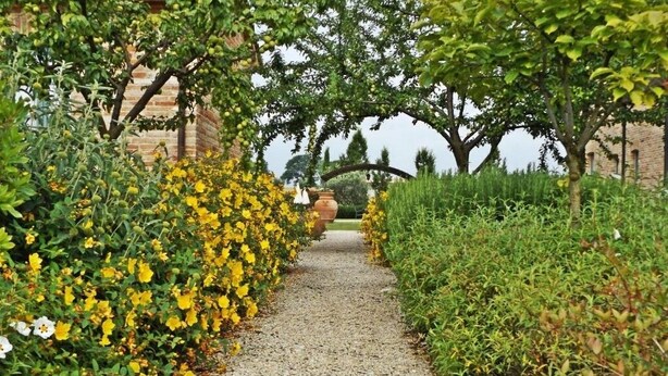 Un camí de grava flanquejat per plantes de flors grogues i vegetació verda, que condueix a un edifici de maó.