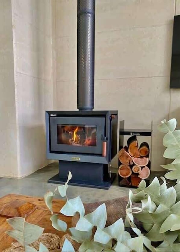 A wood-burning stove with a visible fire, a stack of firewood, and a plant in the foreground.