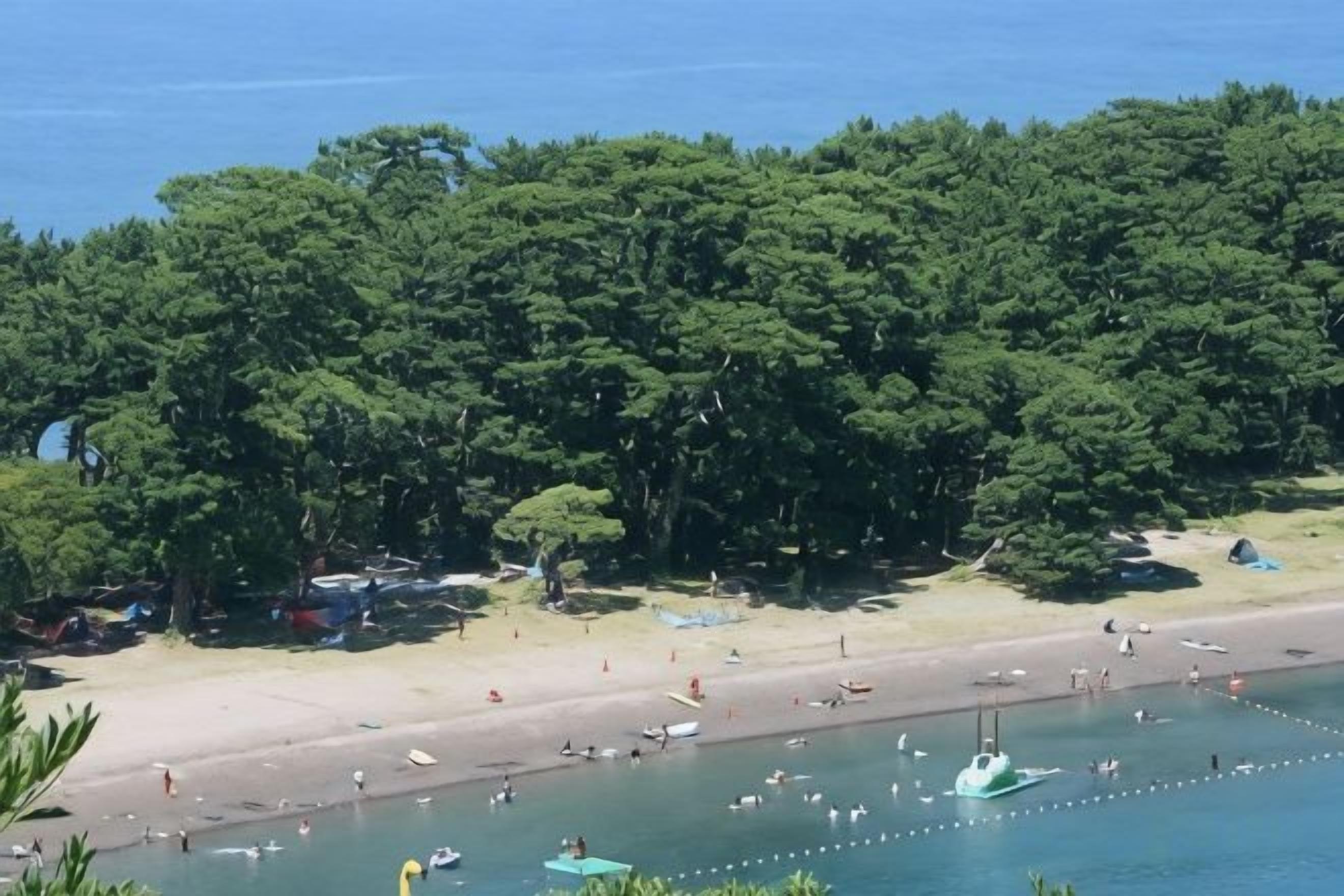 Une plage avec des bateaux, un rivage sablonneux et, au loin, une forêt dense.