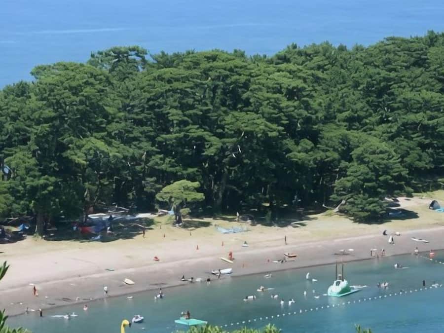 Une plage avec des bateaux, un rivage sablonneux et, au loin, une forêt dense.