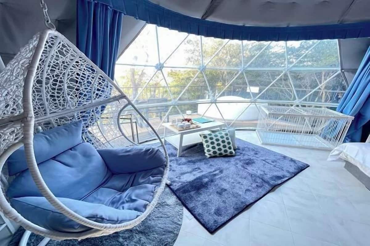 A room with a hanging chair, a small table with a book, and a view through large windows.