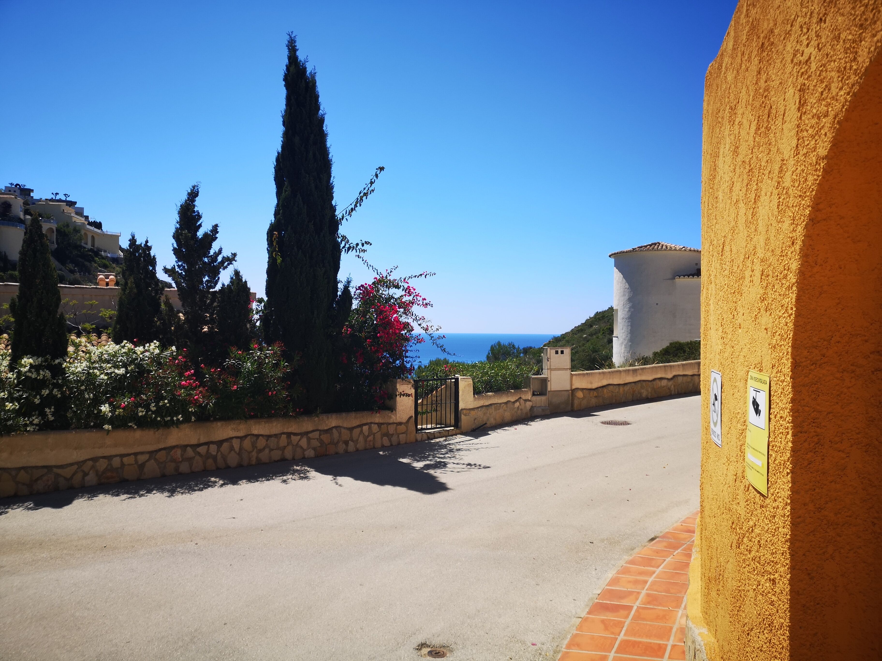 A coastal road with stone walls, cypress trees, and a building with a yellow facade.