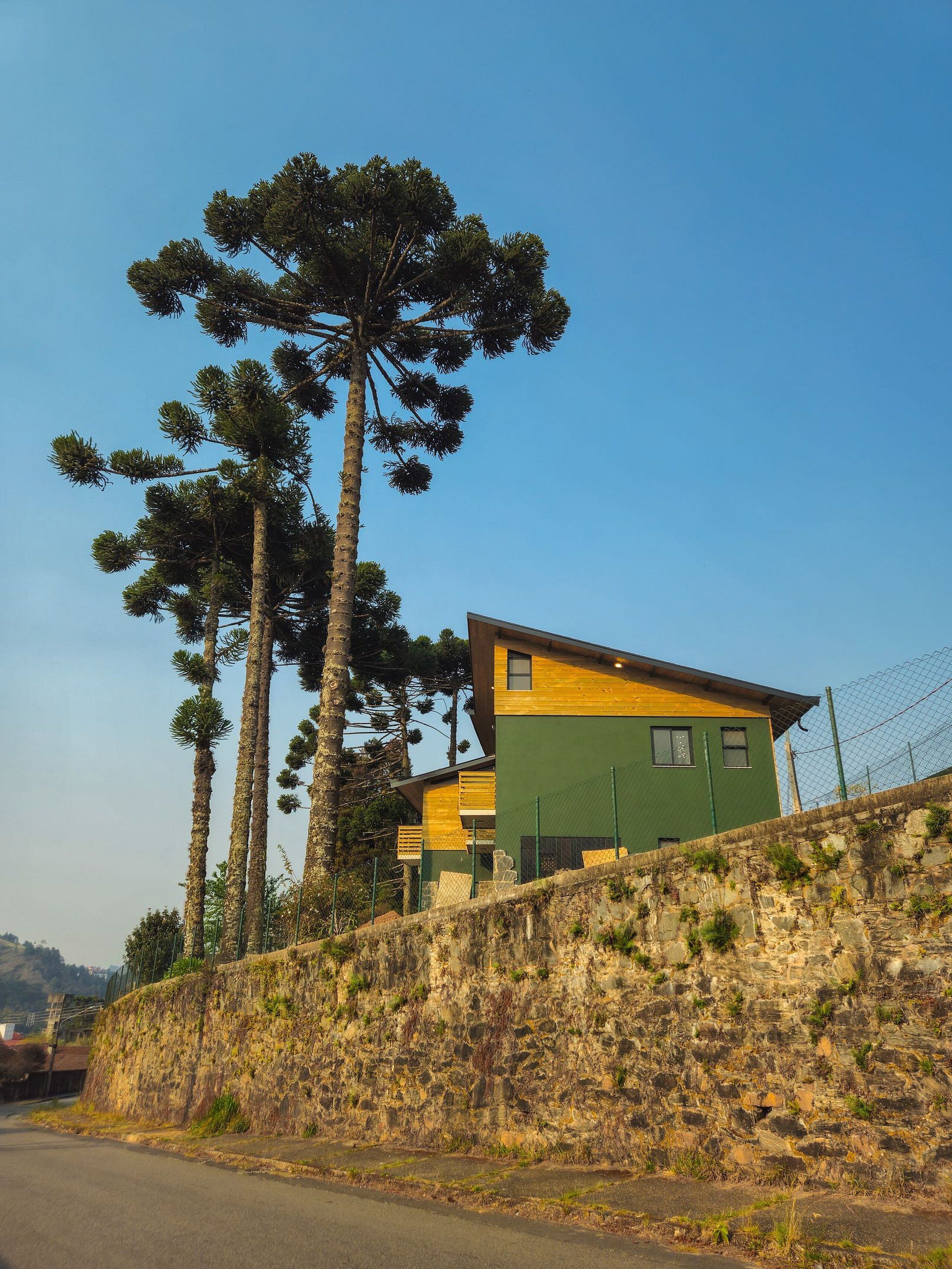 Una casa moderna de dos pisos con fachada verde y amarilla, ubicada en una ladera con altos pinos.