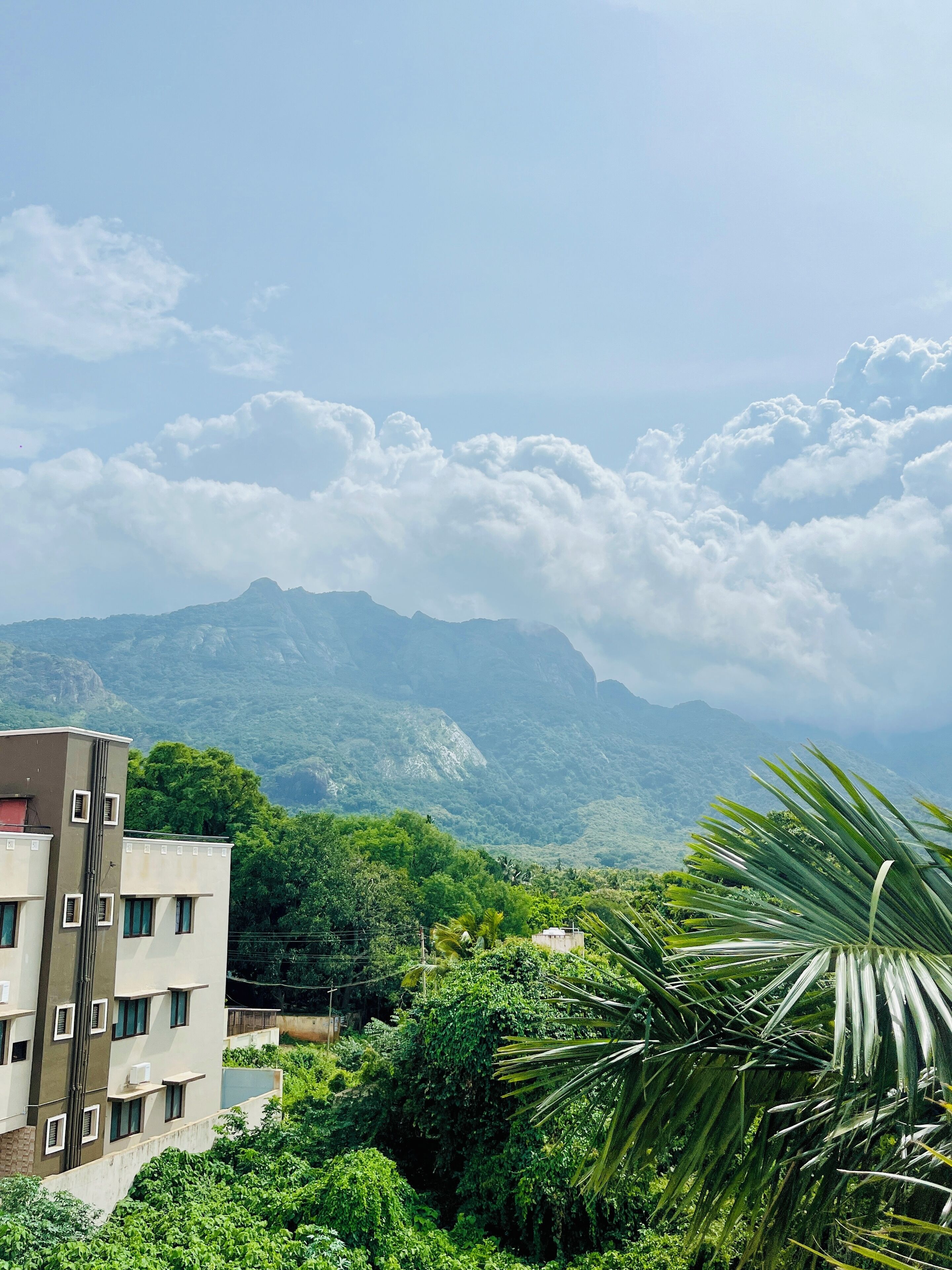 A building with multiple floors and balconies, surrounded by lush greenery and mountains in the background.
