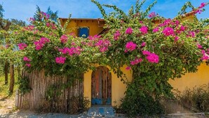 A yellow building with a wooden door and a wooden fence. - Flow House 3BR Oceanview An Bang Beach  (Da Nang)