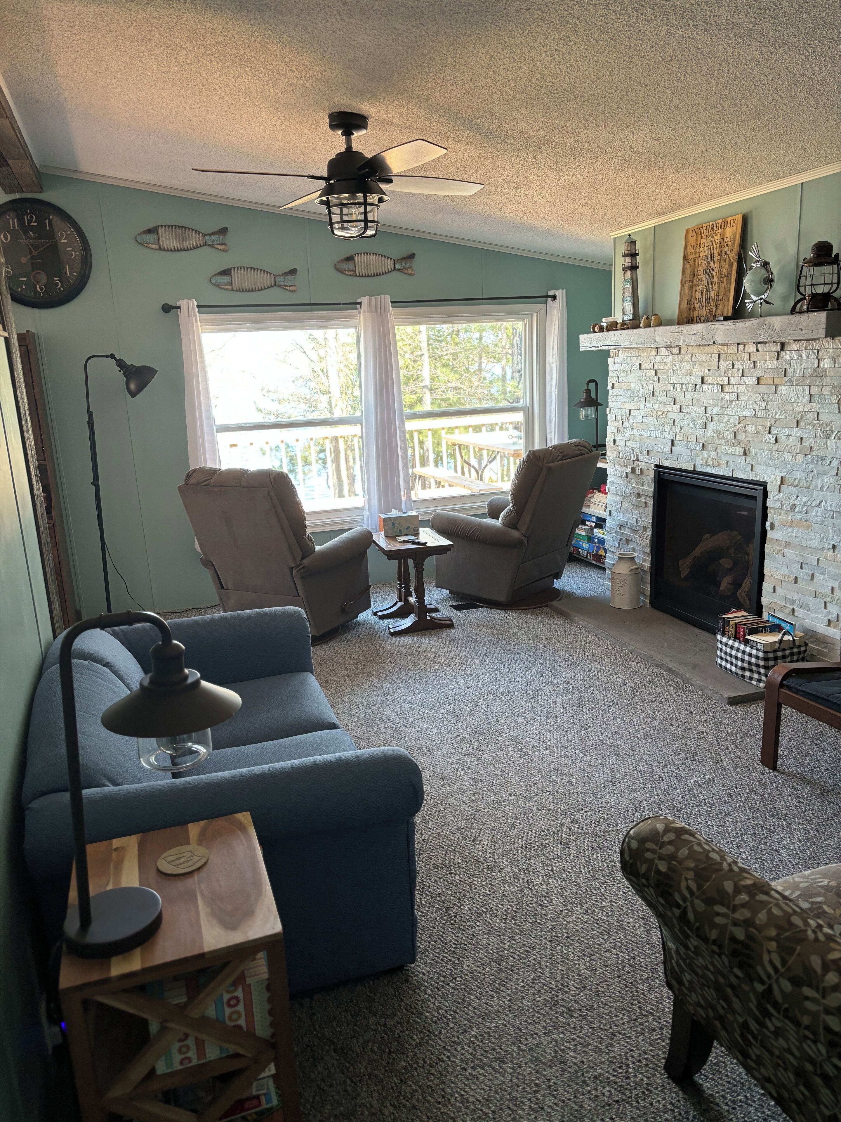 TV, fireplace, DVD player, books