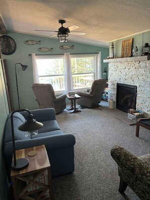 TV, fireplace, DVD player, books