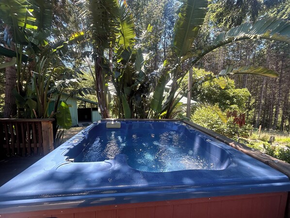 Baignoire à remous extérieure