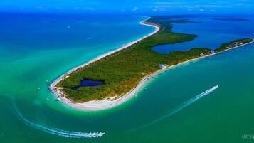 Plage, chaises longues, serviettes de plage