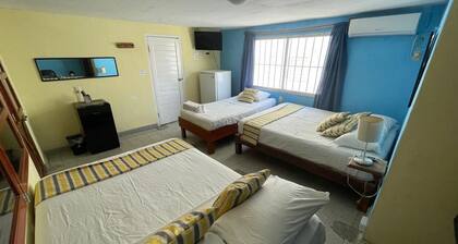 Full house for 14 guests. A/C, TV, Wi-Fi, kitchen, dining and living room. Near beaches and downtown