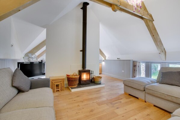 TV, fireplace, DVD player