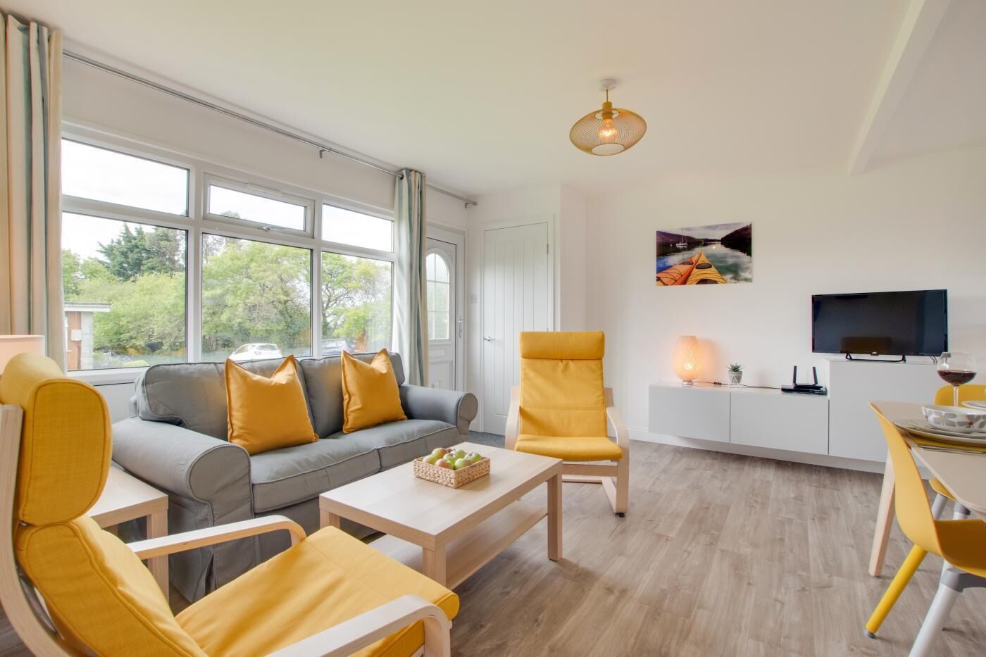 تلفزيون، مشغل دي في دي