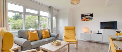 تلفزيون، مشغل دي في دي