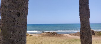 Romantic holiday retreat Palm House Blue Sea by the sea and palm groves