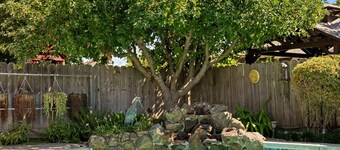 Port Place | Hot Tub, Close to Lodi Wine & Food! 3 Bedrooms, 2 Bathrooms, +Office