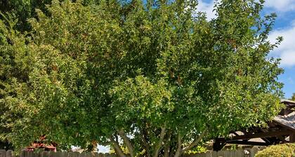 Port Place | Hot Tub, Close to Lodi Wine & Food! 3 Bedrooms, 2 Bathrooms, +Office