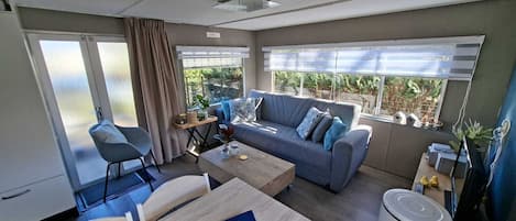 智能电视、乒乓球